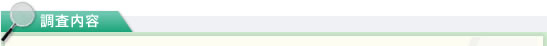 調査内容